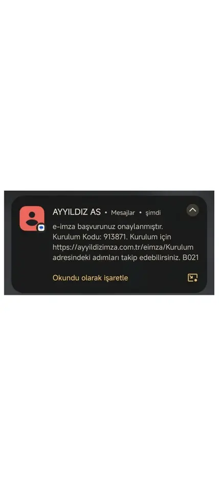 Adım 13: Kurulum kodu SMS ile gelir